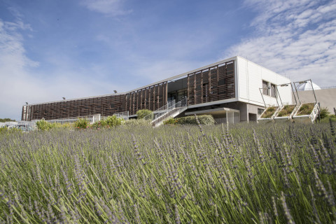 Centre national de la recherche scientifique (CNRS)