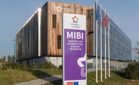 Le Montpellier International Business Incubator (MIBI)
