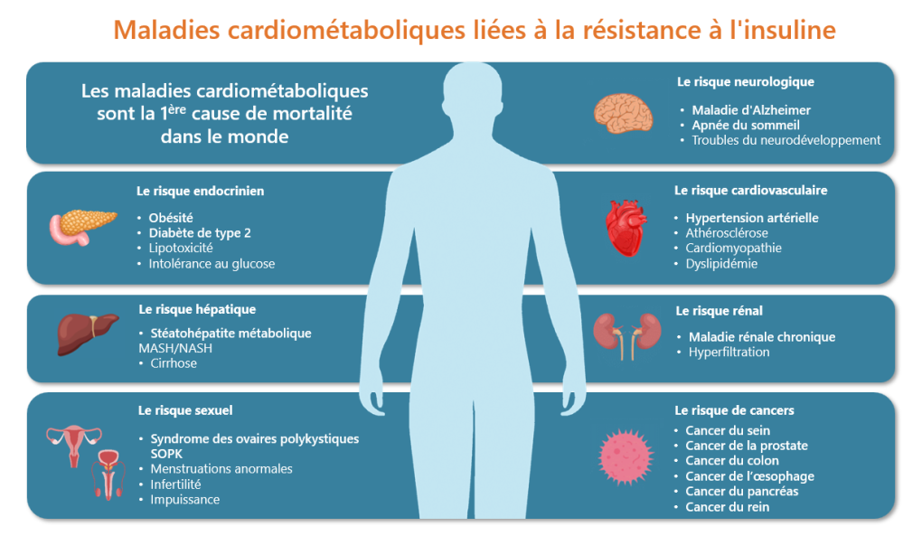 MedVallée : Montpellier lance avec Innov Biotech et Predia le projet inédit "Dinamics" 